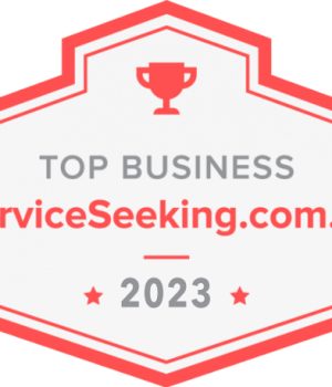 serviceseeking award copy 24